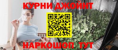 тгк Гай