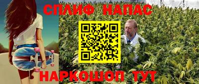 тгк Гай