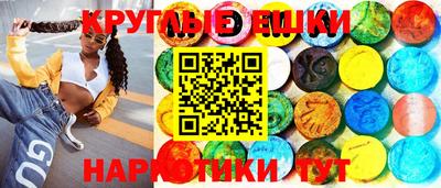 тгк Гай