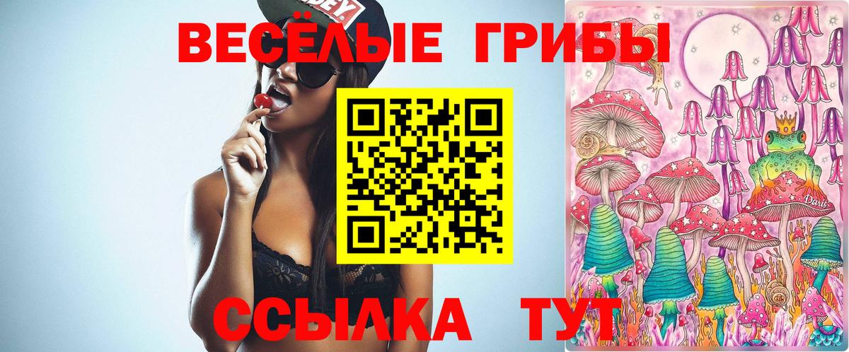 Кореновск  Псилоцибиновые грибы ЛСД  Галлюциногенные грибы GOLDEN TEACHER  Вход с VPN 